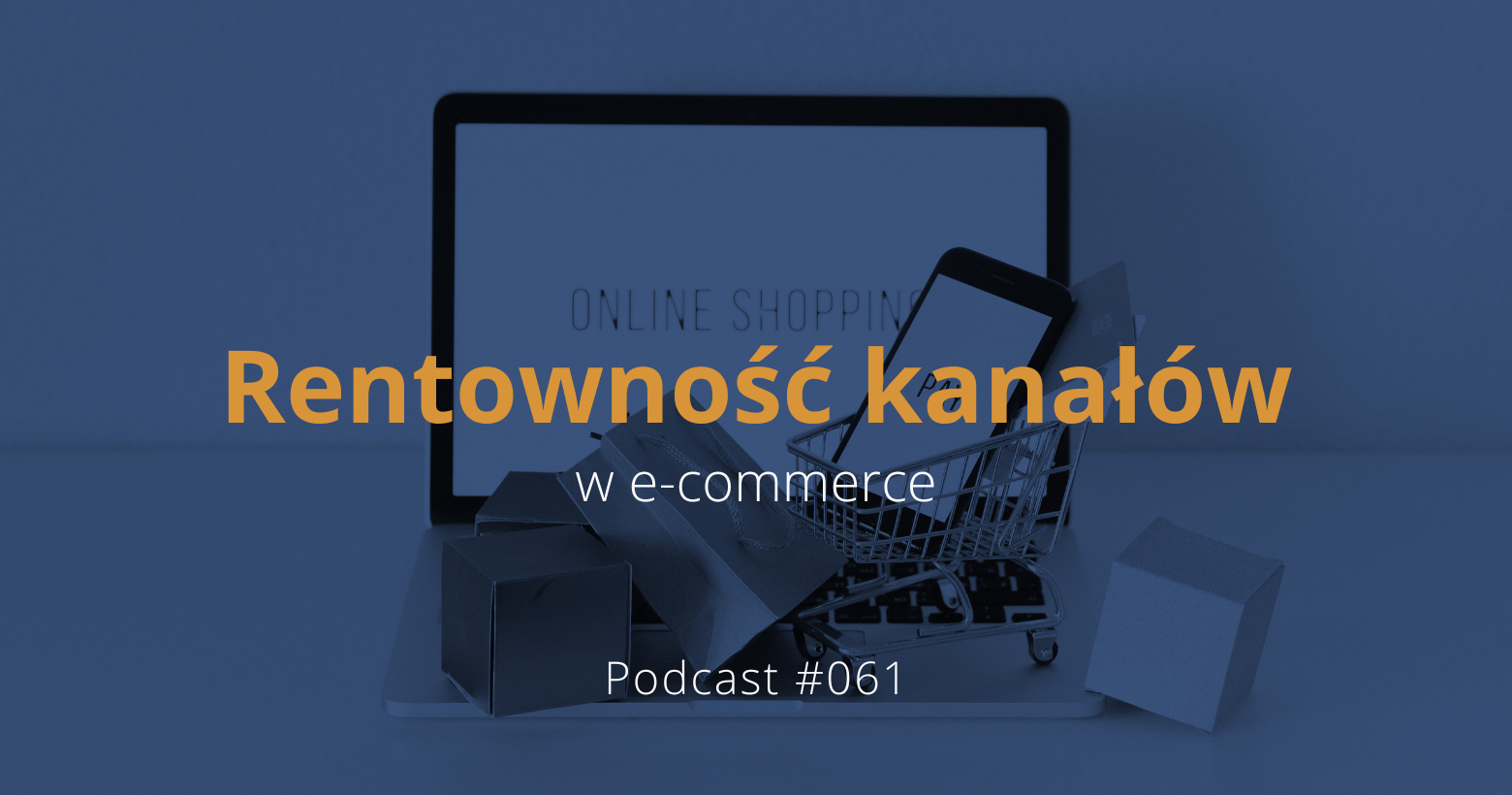 Rentowność kanałów w e-commerce